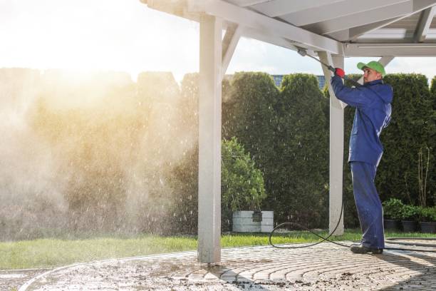 Best Solar Panel Cleaning  in Red Bank, TN